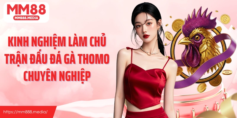 Kinh nghiệm làm chủ trận đấu đá gà Thomo chuyên nghiệp