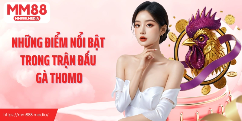 Những điểm nổi bật trong trận đấu gà Thomo